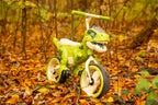 3D Dinosaurier Laufrad mit LED & Sound